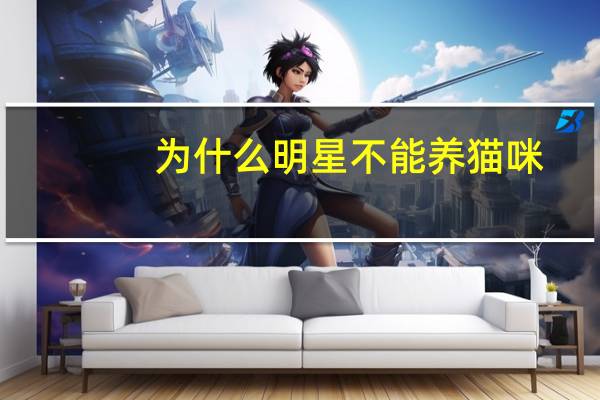 为什么明星不能养猫咪