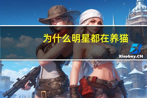 为什么明星都在养猫