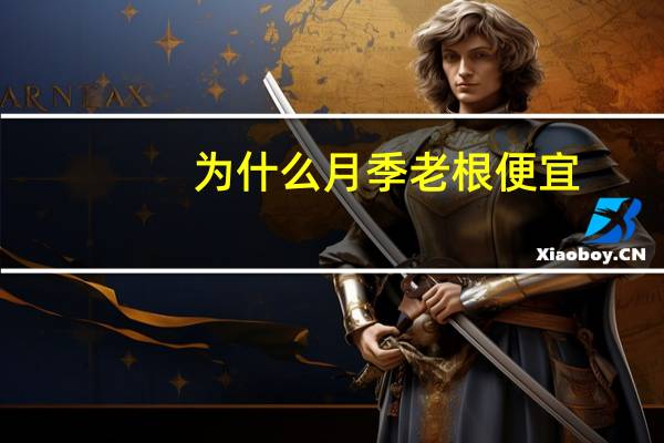 为什么月季老根便宜