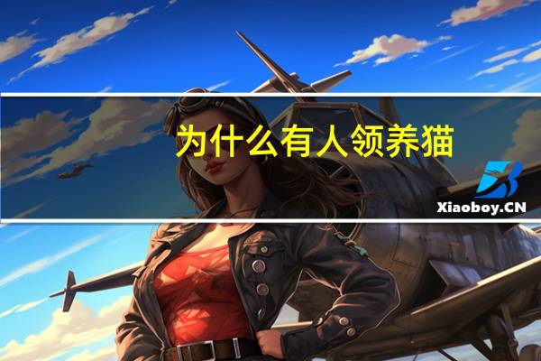 为什么有人领养猫