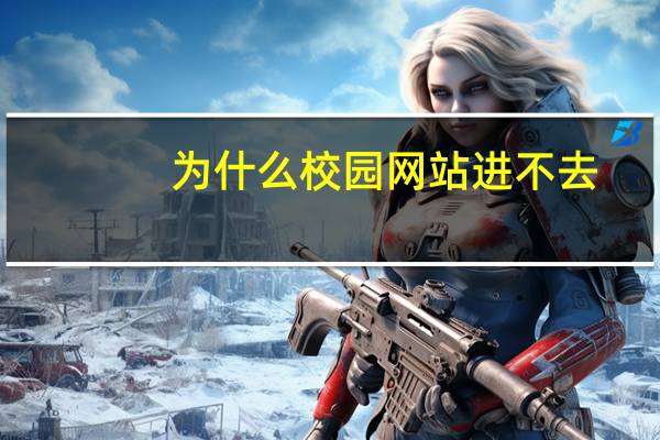 为什么校园网站进不去