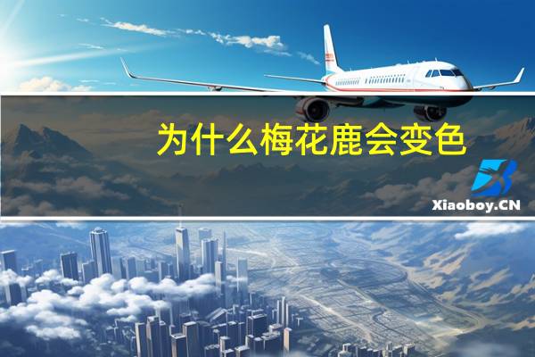 为什么梅花鹿会变色