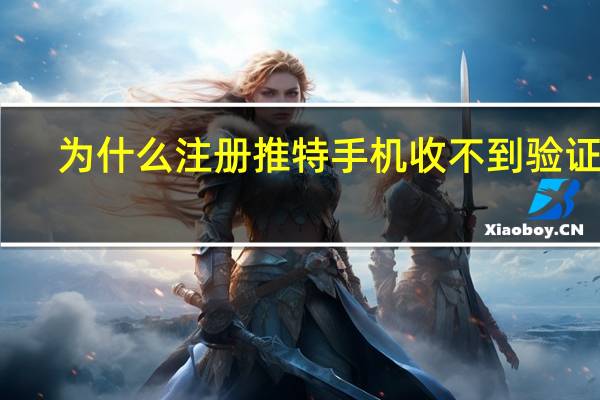 为什么注册推特手机收不到验证码