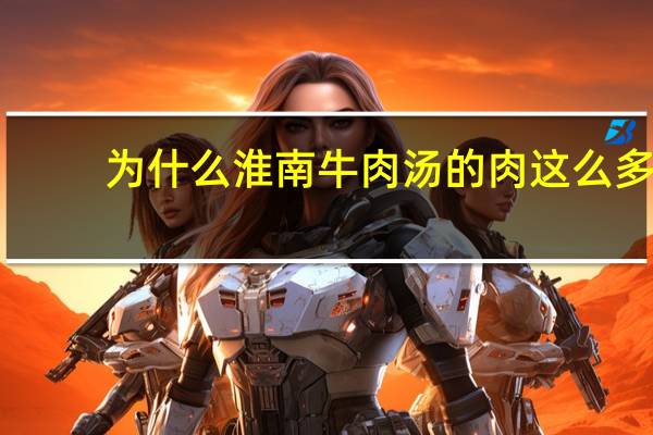 为什么淮南牛肉汤的肉这么多