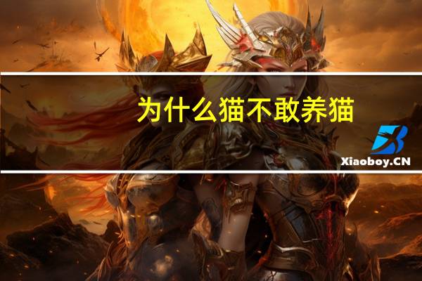 为什么猫不敢养猫