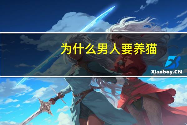 为什么男人要养猫