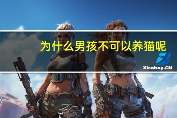 为什么男孩不可以养猫呢
