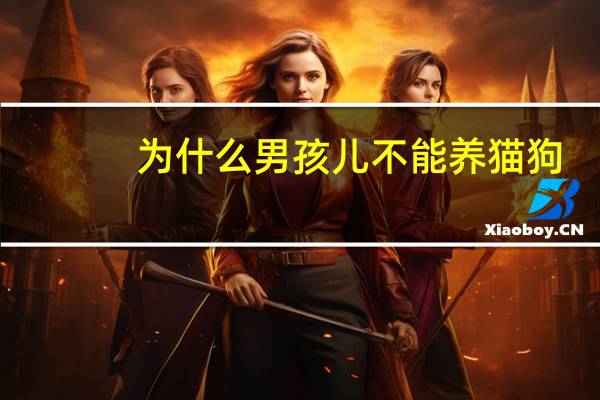 为什么男孩儿不能养猫狗