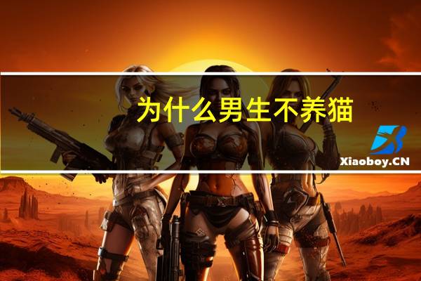 为什么男生不养猫