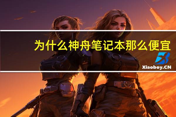 为什么神舟笔记本那么便宜