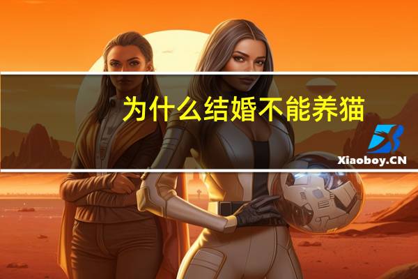 为什么结婚不能养猫