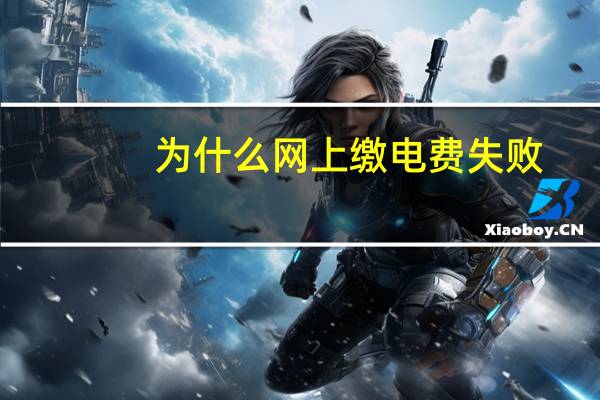 为什么网上缴电费失败