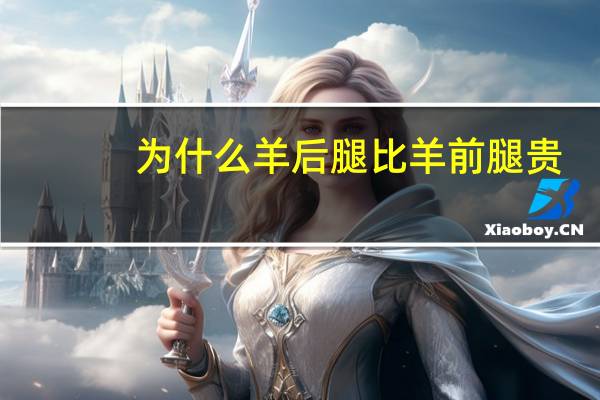 为什么羊后腿比羊前腿贵