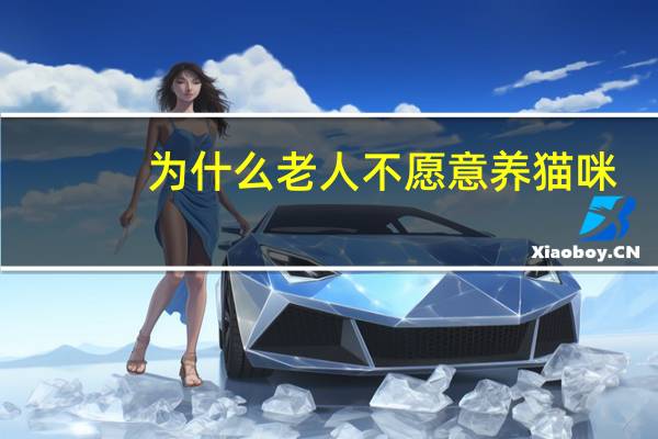 为什么老人不愿意养猫咪