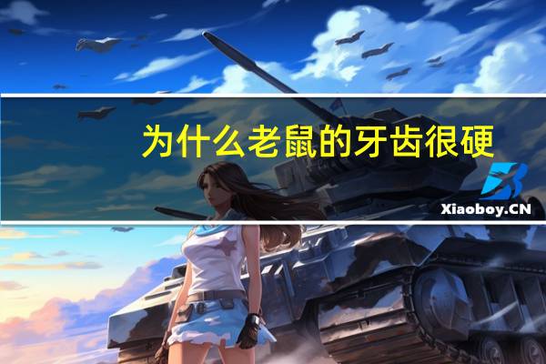 为什么老鼠的牙齿很硬？老鼠的牙齿长什么样子