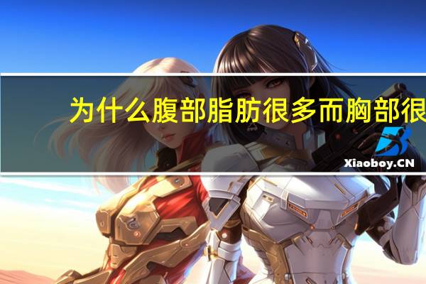 为什么腹部脂肪很多 而胸部很小(为什么很多胖人胸反而小)