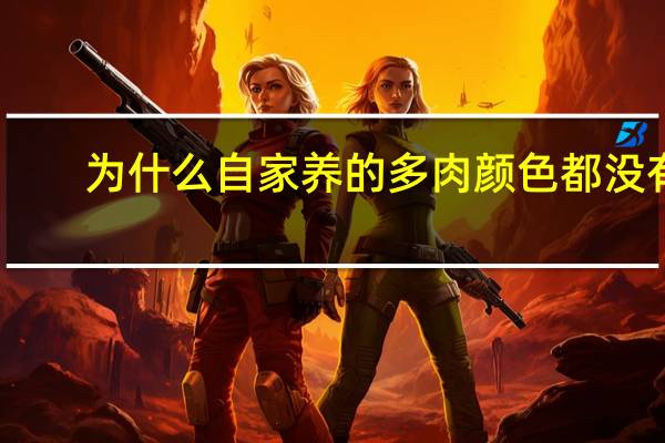 为什么自家养的多肉颜色都没有