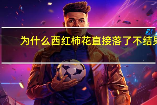 为什么西红柿花直接落了不结果