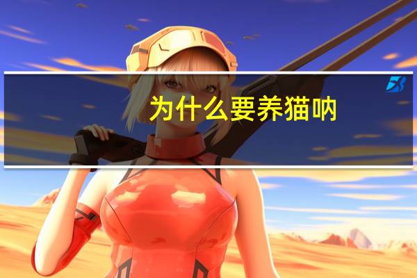 为什么要养猫呐