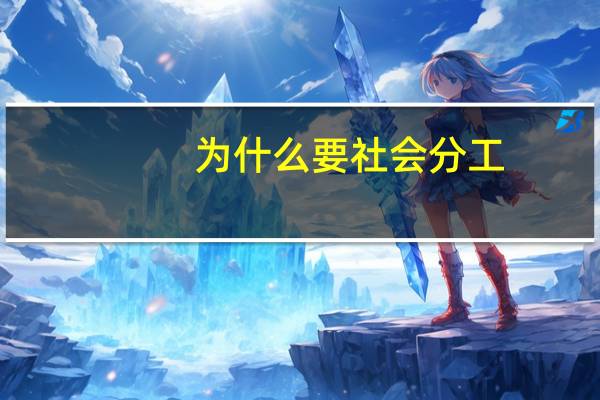 为什么要社会分工,请详细说明.