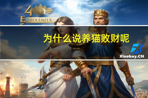 为什么说养猫败财呢