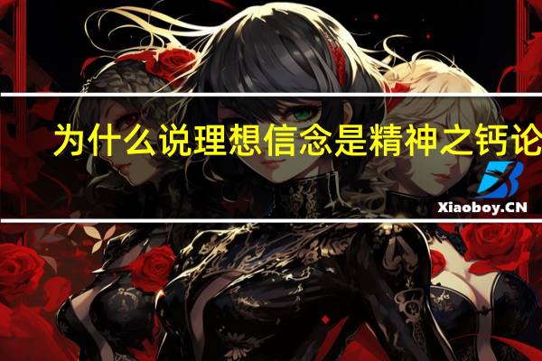 为什么说理想信念是精神之钙论文（为什么说理想信念是精神之钙）