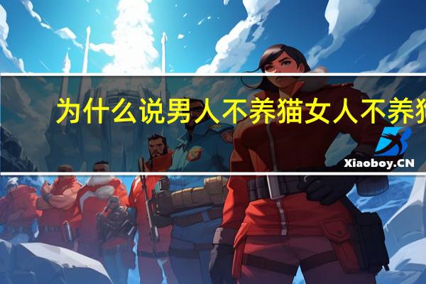 为什么说男人不养猫女人不养狗