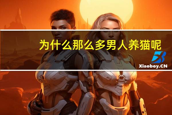 为什么那么多男人养猫呢
