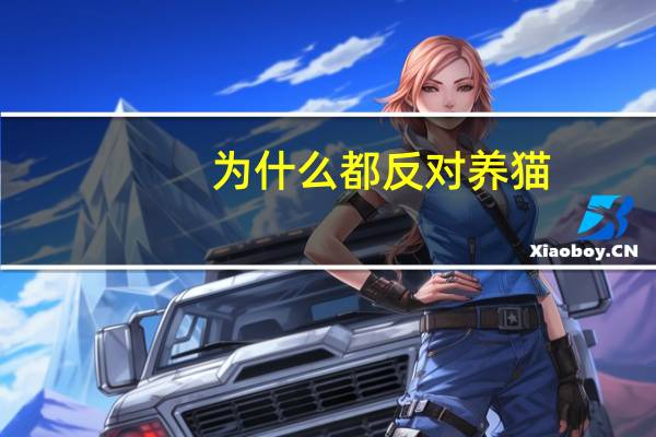 为什么都反对养猫