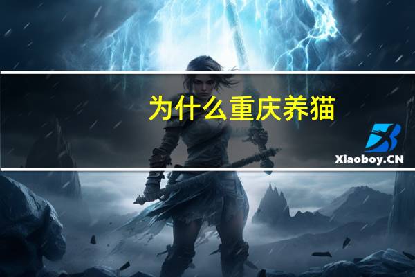 为什么重庆养猫