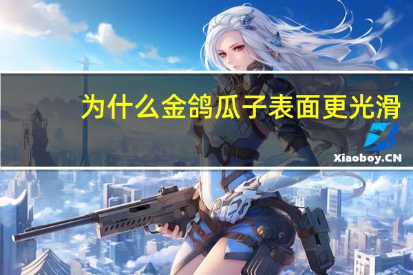 为什么金鸽瓜子表面更光滑