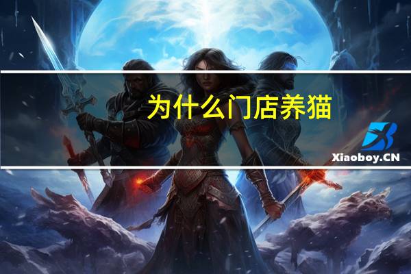 为什么门店养猫
