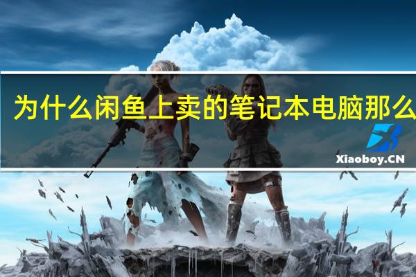 为什么闲鱼上卖的笔记本电脑那么便宜