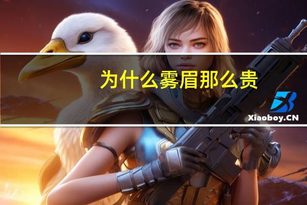 为什么雾眉那么贵，野生眉和丝雾眉哪个贵