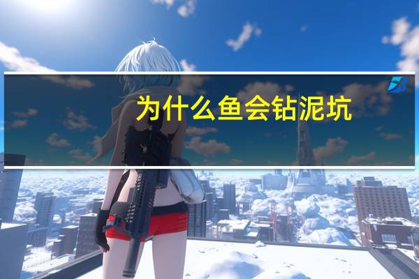 为什么鱼会钻泥坑