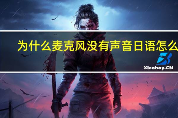 为什么麦克风没有声音日语怎么说（为什么麦克风没有声音）
