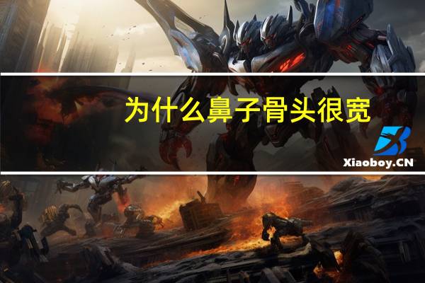 为什么鼻子骨头很宽，鼻骨长是什么意思