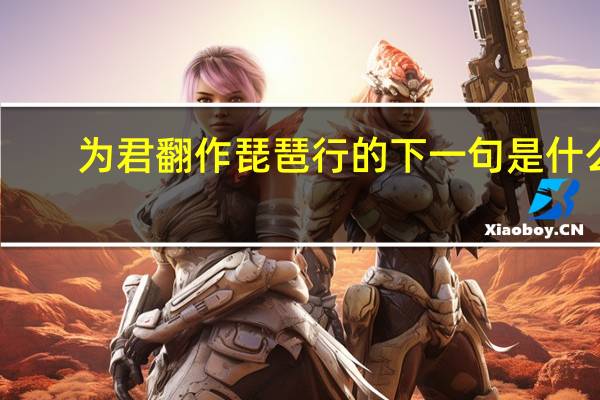 为君翻作琵琶行的下一句是什么