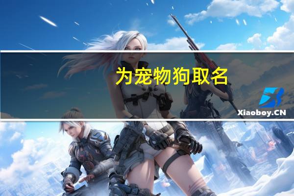 为宠物狗取名