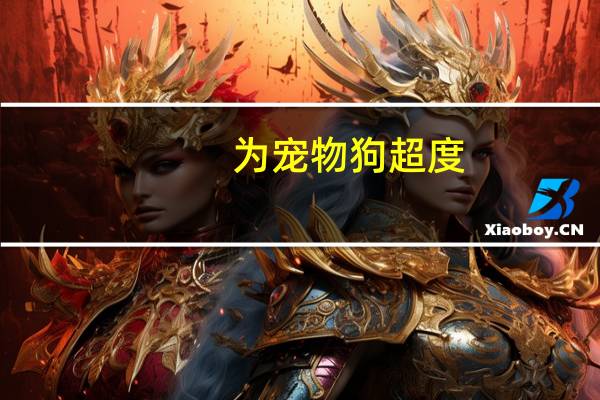 为宠物狗超度
