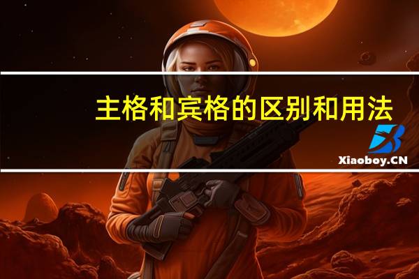 主格和宾格的区别和用法