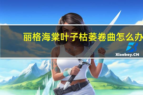 丽格海棠叶子枯萎卷曲怎么办