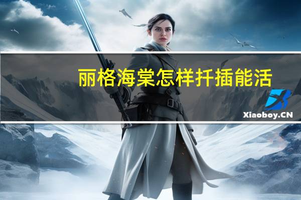 丽格海棠怎样扦插能活