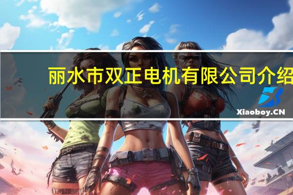 丽水市双正电机有限公司介绍
