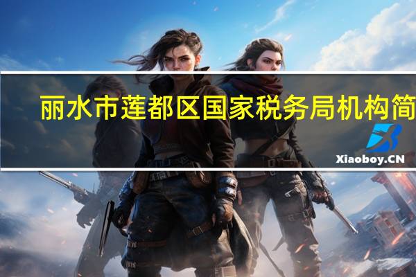 丽水市莲都区国家税务局机构简介