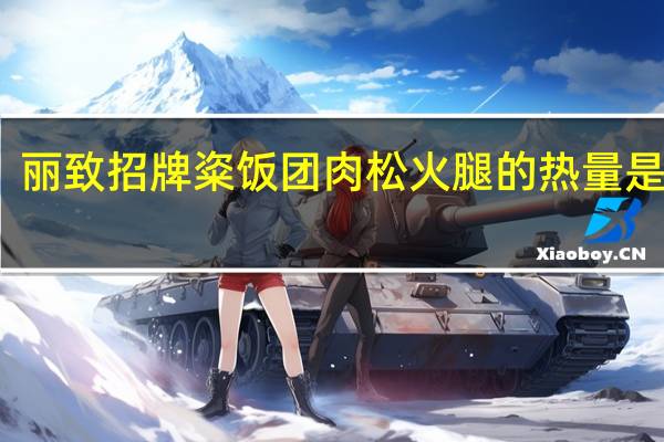 丽致 招牌粢饭团肉松火腿的热量是多少