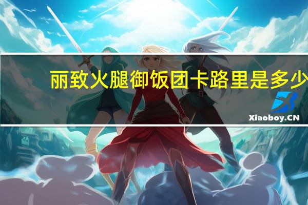 丽致 火腿御饭团卡路里是多少