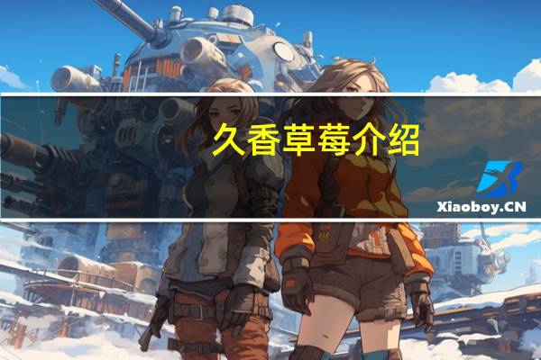 久香草莓介绍