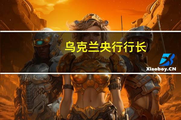 乌克兰央行行长：乌克兰的金融稳定性达到历史最高水平