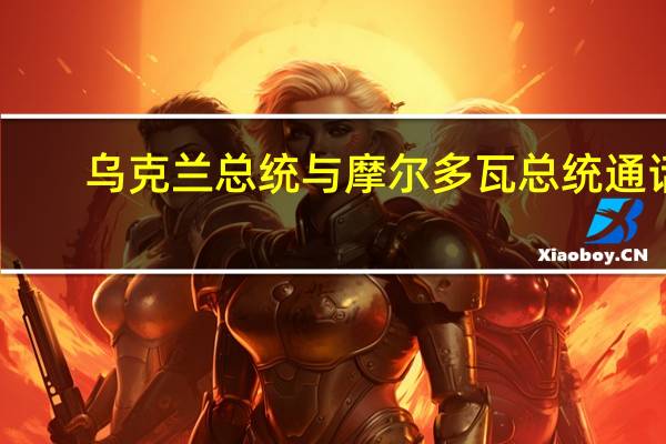 乌克兰总统与摩尔多瓦总统通话